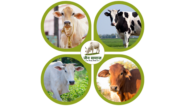 Adopt Cow (गाय गोद ले)